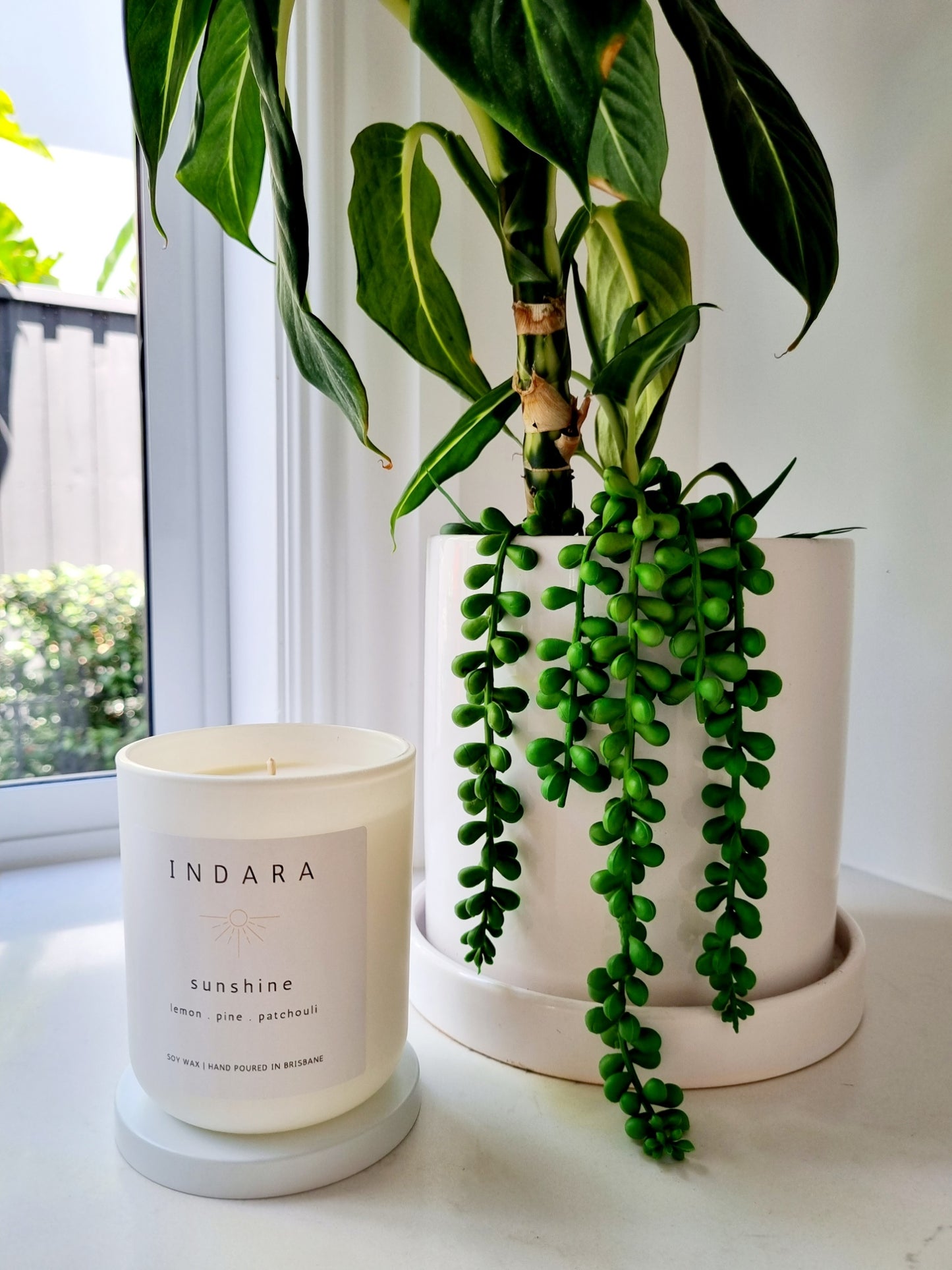 Sunshine Candle - lemon, pine & patchouli