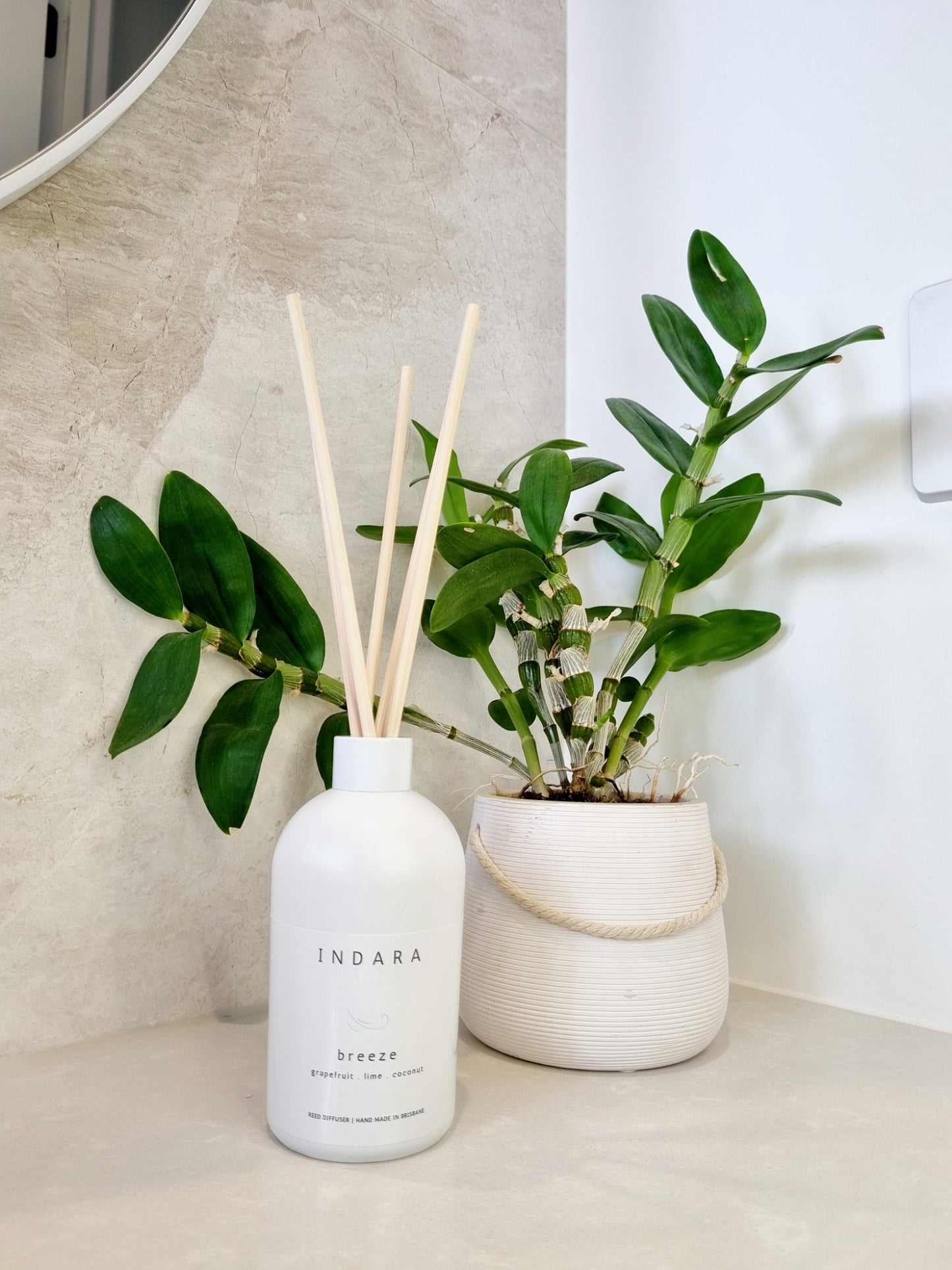 Breeze Diffuser - grapefruit, lime & coconut